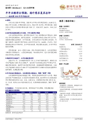 海利得2020年半年报点评：半年业绩符合预期，海外需求复苏在即