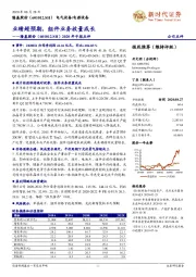 2020年中报点评：业绩超预期，组件业务放量成长