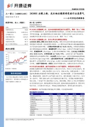 改善信息更新报告：2020H1业绩上扬，龙头地位稳固将受益行业高景气