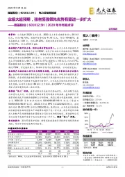 2020年半年报点评:业绩大超预期,强者恒强领先优势有望进一步扩大