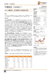 20H1业绩承压，多元突破打开长期成长空间