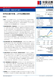 安评龙头稳中求增,上半年业绩稳定增长
