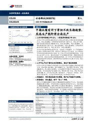 2020年半年度报告点评:中期业绩有所下滑但不改长期趋势,采选冶产能即将全面达产