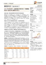 2020年中报点评：业绩高增长持续兑现，定增募集资金扩充版权库及增强技术实力