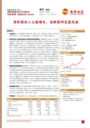原料药收入大幅增长,创新药研发获突破