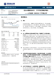 半年报点评：龙头业绩探底回升，下半年有望稳步增长