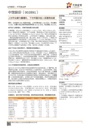 上半年业绩大幅增长，下半年国内收入有望再加速