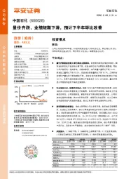 量价齐跌，业绩短期下滑，预计下半年环比改善