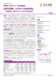 2020年半年报点评:业绩不及预期,NCM811出货保持领先