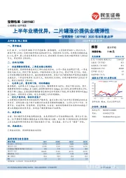 2020年半年度点评：上半年业绩优异，二片罐涨价提供业绩弹性