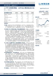 上半年业绩超预期,安评龙头维持高成长性