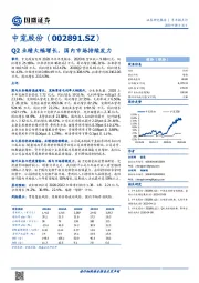 Q2业绩大幅增长，国内市场持续发力