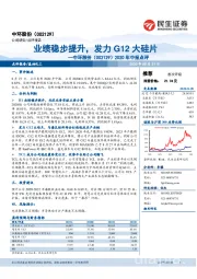 2020年中报点评：业绩稳步提升，发力G12大硅片