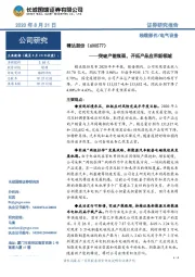 突破产能瓶颈,开拓产品应用新领域