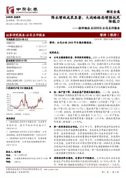 公司点评报告:降本增效成果显著,大战略格局增强抗风险能力