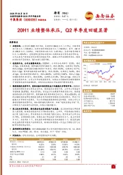 20H1业绩整体承压,Q2单季度回暖显著