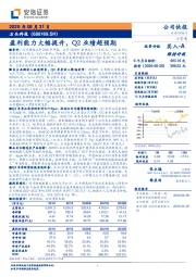 盈利能力大幅提升,Q2业绩超预期