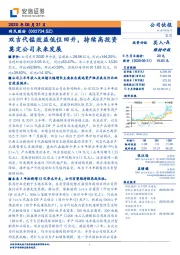 双吉代锰效益低位回升，持续高投资奠定公司未来发展