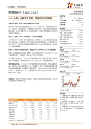 2020中报:业绩符合预期,显著低估应有修复
