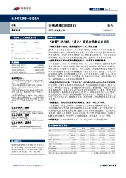 2020年中报点评：“破圈”进行时，“多元”变现打开新成长空间