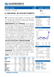 Q2业绩大幅改善，新平台助力强产品周期开启