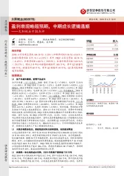 太阳纸业中报点评：盈利表现略超预期，中期成长逻辑通顺