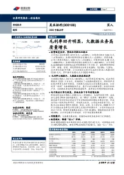 2020中报点评：毛利率回升明显，大数据业务高质量增长