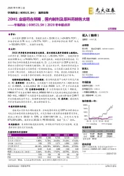 2020年中报点评：20H1业绩符合预期，国内制剂及原料药销售大增