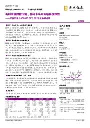 2020年中报点评：毛利率暂时被压制，静待下半年业绩释放弹性