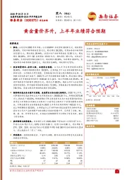 黄金量价齐升,上半年业绩符合预期