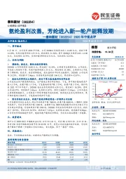 2020年中报点评：氨纶盈利改善，芳纶进入新一轮产能释放期