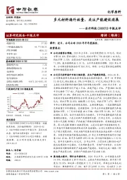 中报点评：多元材料海外放量，关注产能建设进展