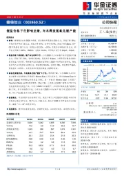 锂盐价格下行影响业绩，年末释放氢氧化锂产能