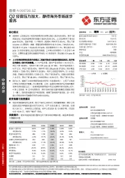 Q2经营压力加大,静待海外市场逐步复苏
