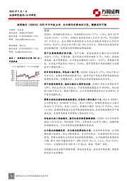 2020年半年报点评：行业领先优势地位不变，稳健成长可期