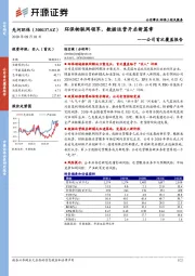 公司首次覆盖报告：环保物联网领军，数据运营开启新篇章