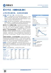 公网专网双线布局，业务迎来突破期