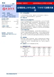 疫情影响上半年业绩,下半年下游需求复苏
