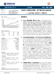 中报点评：2020H1业绩符合预期，国产替代助力快速成长