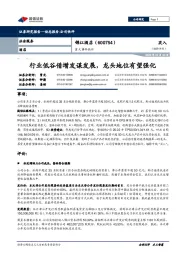 重大事件快评:行业低谷借增发谋发展,龙头地位有望强化