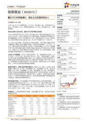 量价齐升利润稳增长,黄金主业有望持续发力