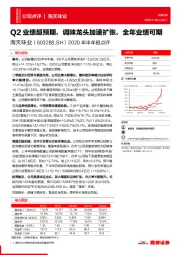 2020年半年报点评：Q2业绩超预期，调味龙头加速扩张，全年业绩可期