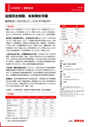 2020年中报点评：业绩符合预期， 未来增长可期