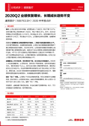 2020半年报点评：2020Q2业绩恢复增长，长期成长趋势不变