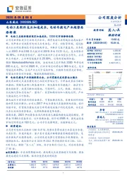 电动工具配件龙头加速成长，电动车换电产业趋势再添新柴