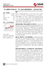 东山精密半年报点评：FPC拉动业绩逆势增长，未来成长可期