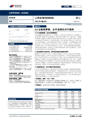 2020年中报点评：Q2业绩超预期，全年高增长仍可期待