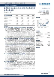 数字展示行业龙头,文化+科技多点布局不断扩展业务边界