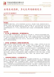 业绩表现亮眼,多元化布局持续发力