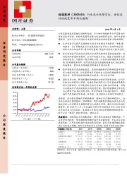 行业龙头优势突出，面临良好的政策和市场机遇期